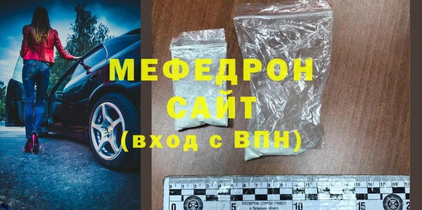 индика Новозыбков