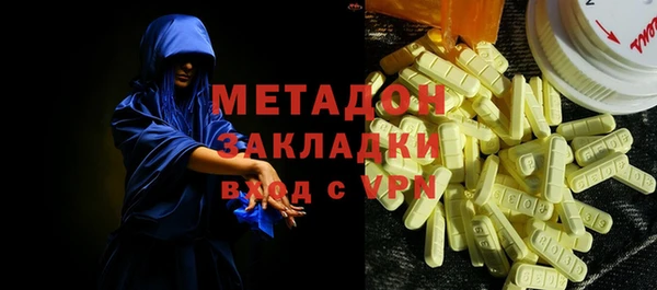 индика Новозыбков