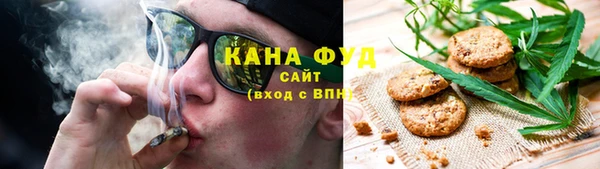 индика Новозыбков