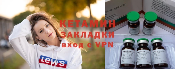 индика Новозыбков