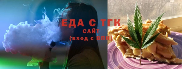 индика Новозыбков