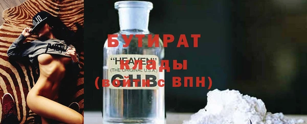 индика Новозыбков