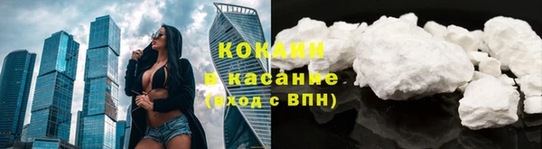 индика Новозыбков
