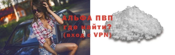 индика Новозыбков