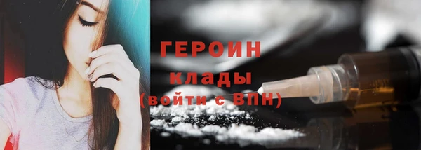 индика Новозыбков