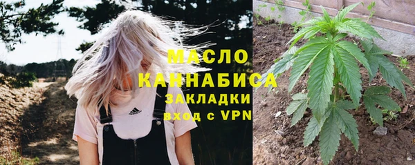 индика Новозыбков