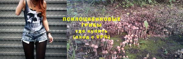 экстази Новодвинск