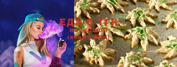 индика Новозыбков