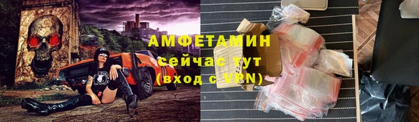 индика Новозыбков