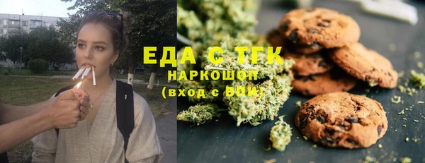 индика Новозыбков