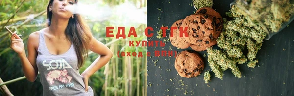 индика Новозыбков