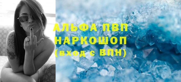 индика Новозыбков