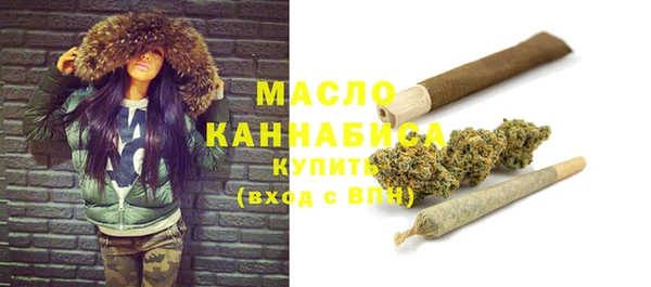 индика Новозыбков