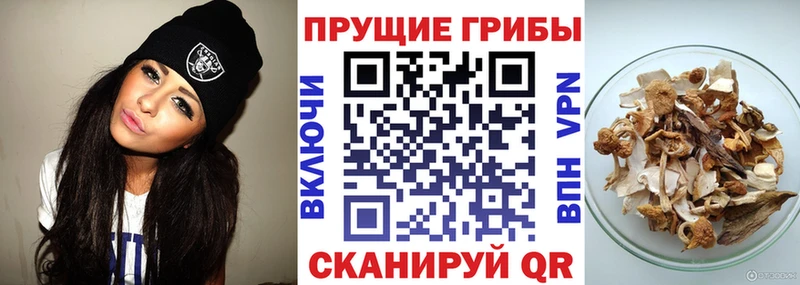 Псилоцибиновые грибы Magic Shrooms Черкесск