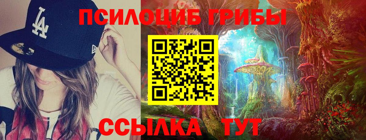 Псилоцибиновые грибы прущие грибы  Вход с VPN  Черкесск 